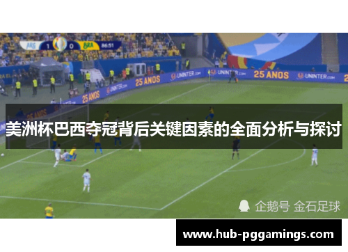 美洲杯巴西夺冠背后关键因素的全面分析与探讨