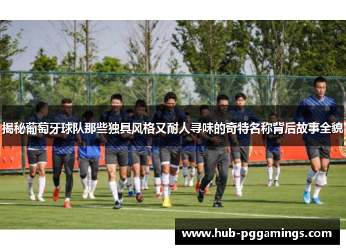 揭秘葡萄牙球队那些独具风格又耐人寻味的奇特名称背后故事全貌
